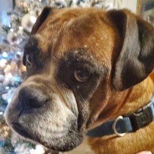 Meet your Posher, Shari